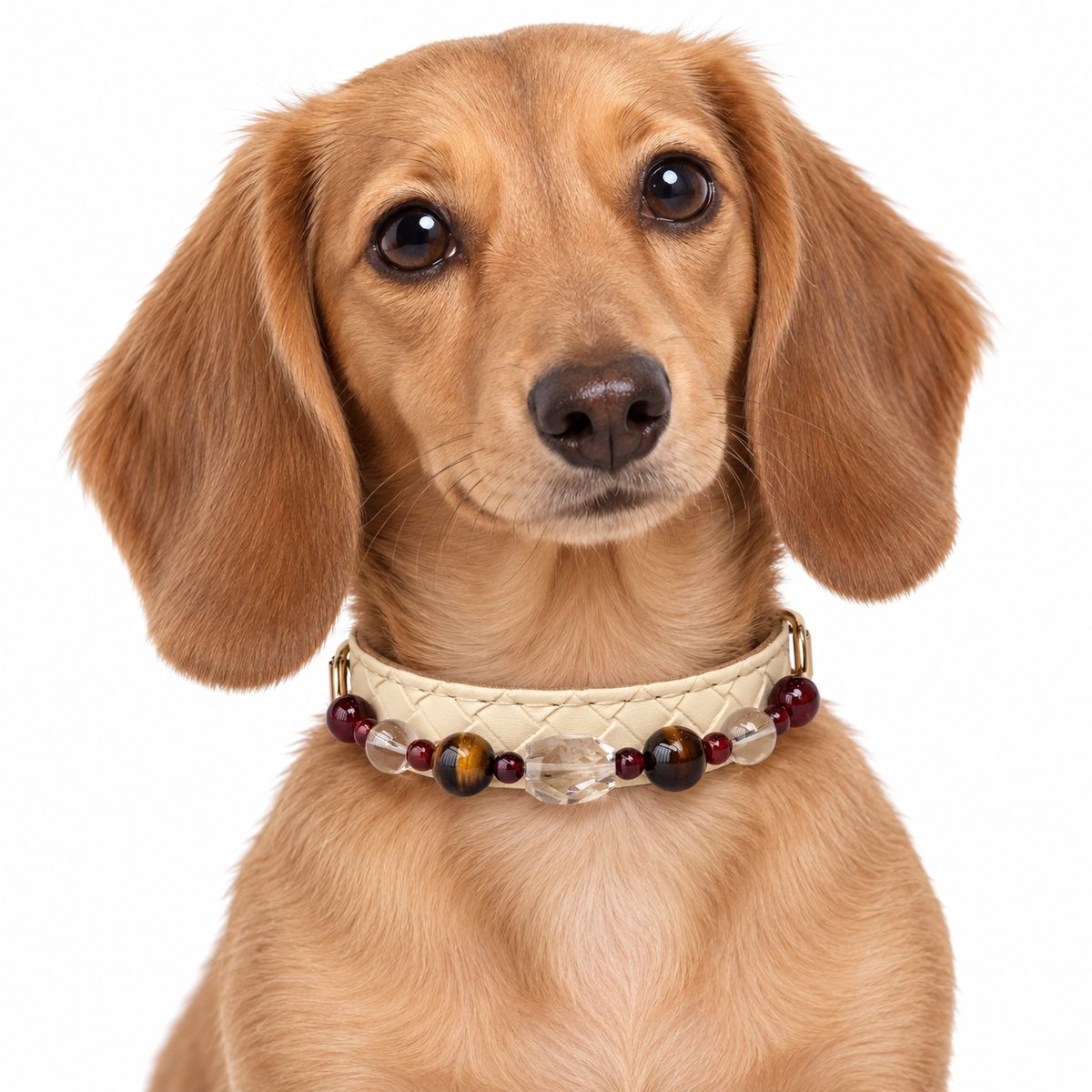 Amber Garnet Beaded Pet Collar - AI pet wearing styling illustration