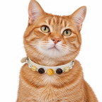 Amber Light Human & Pet Match — orange tabby cat wearing the pet collar, AI styling illustration