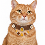 Amber Midnight Human & Pet Match — orange tabby cat wearing the pet collar, AI styling illustration