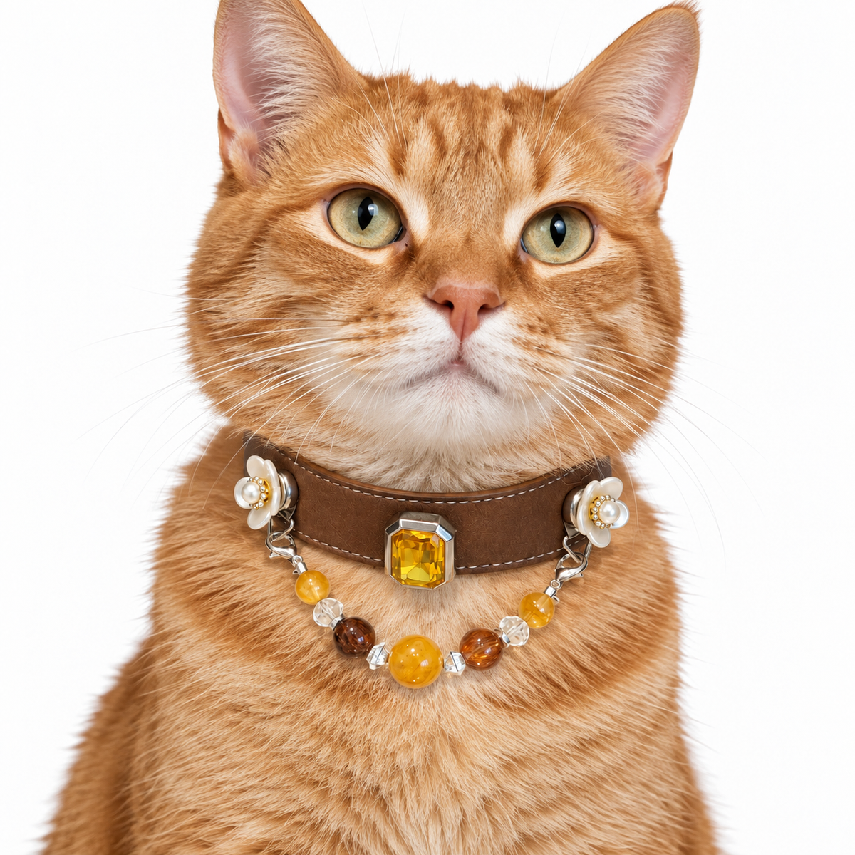 Amber Midnight Human & Pet Match — orange tabby cat wearing the pet collar, AI styling illustration