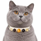 Amber Twilight Beaded Pet Collar - AI pet wearing styling illustration