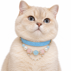 Aqua Blush Human & Pet Match — cream British shorthair cat wearing the pet collar, AI styling illustration