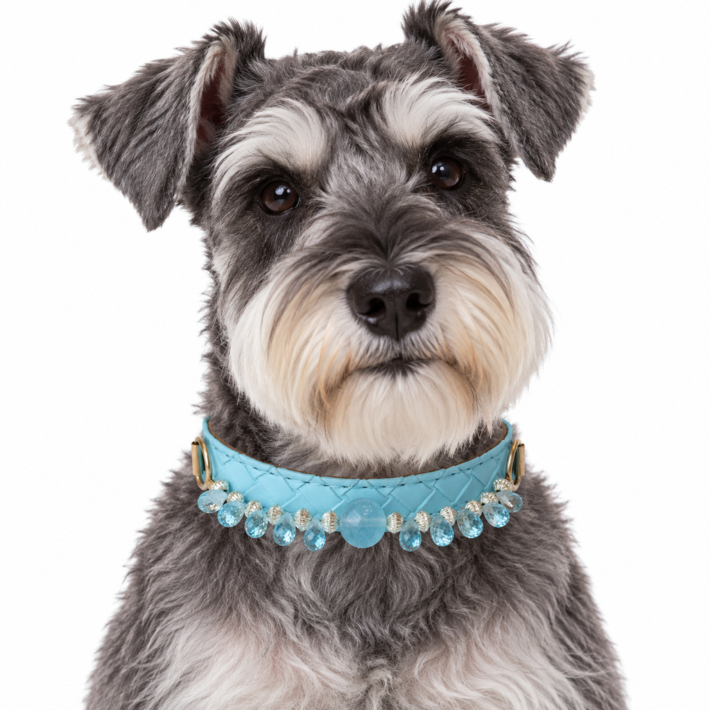 Aqua Dewdrop Beaded Pet Collar - AI pet wearing styling illustration