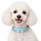 Aqua Snow Beaded Pet Collar - AI pet wearing styling illustration