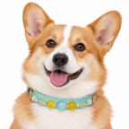 Aqua Sunshine Beaded Pet Collar - AI pet wearing styling illustration