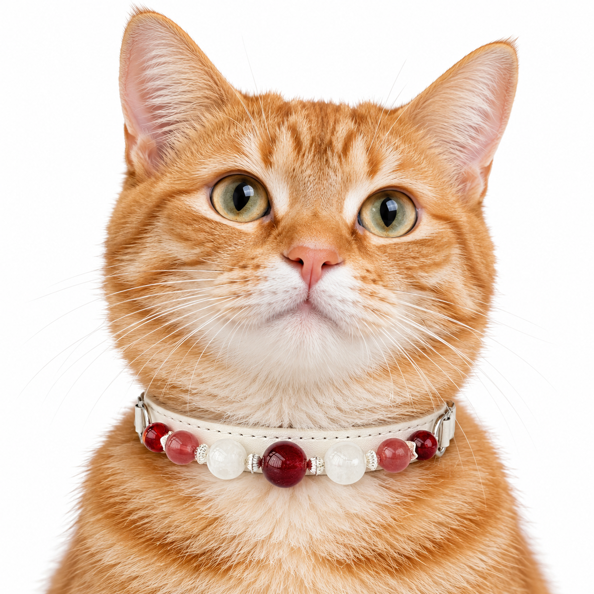 Berry Snow Beaded Pet Collar - AI pet wearing styling illustration