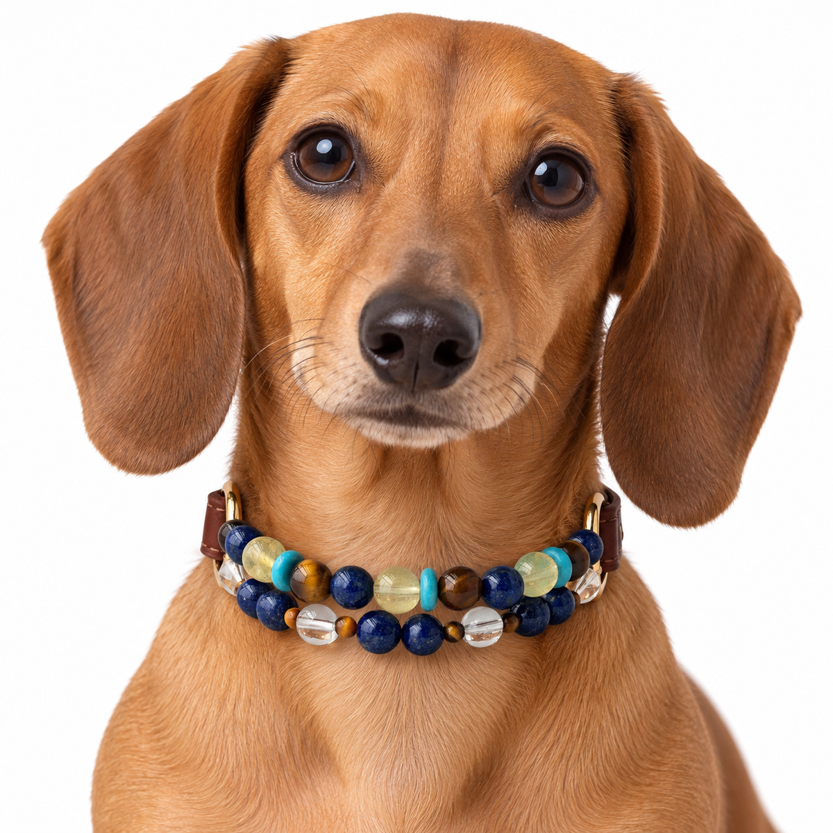Blue Horizon Arc Beaded Pet Collar - AI pet wearing styling illustration