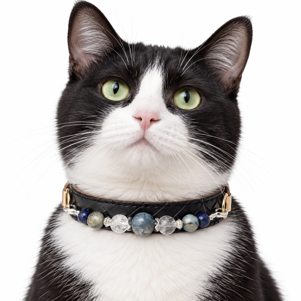 Blue Mist Beaded Pet Collar - AI pet wearing styling illustration