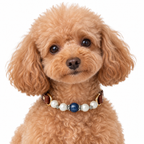 Blue Pearl Arc Beaded Pet Collar - AI pet wearing styling illustration