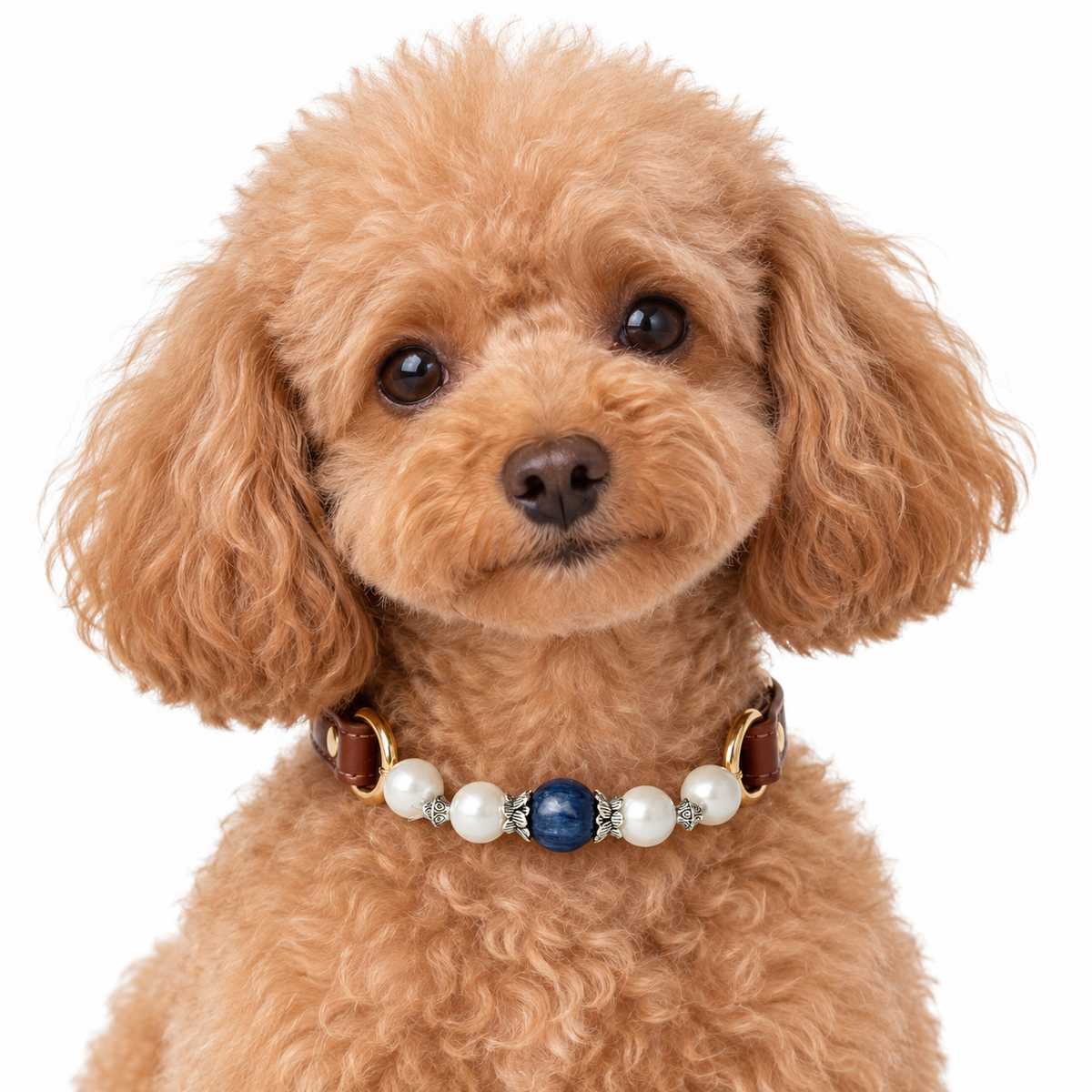 Blue Pearl Arc Beaded Pet Collar - AI pet wearing styling illustration