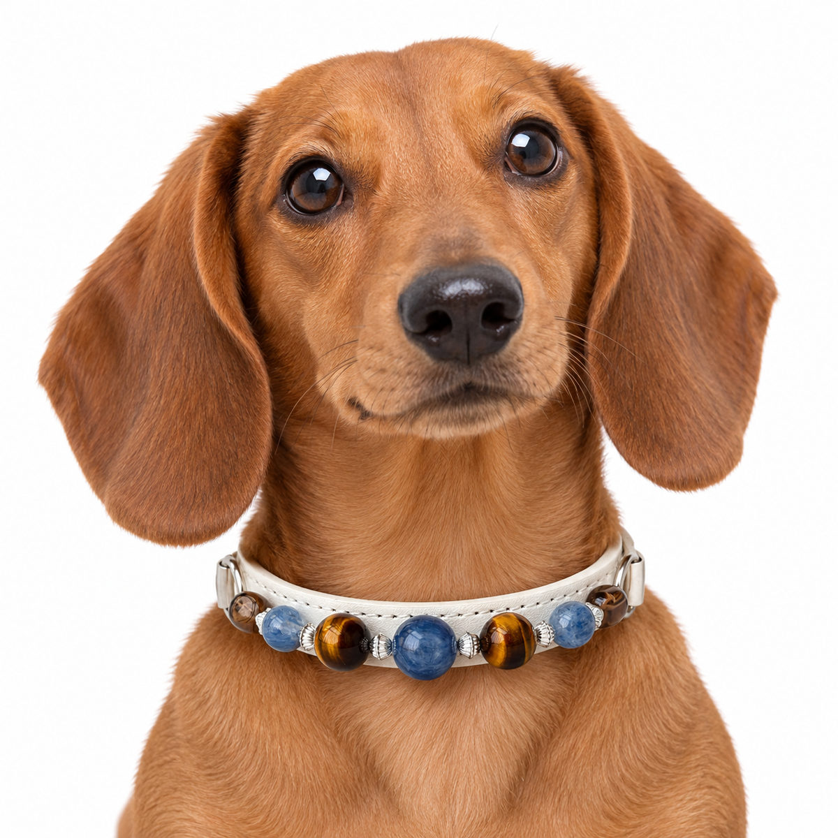 Blue Tiger Beaded Pet Collar - AI pet wearing styling illustration