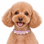 Blush Pearl Beaded Pet Collar - AI pet wearing styling illustration