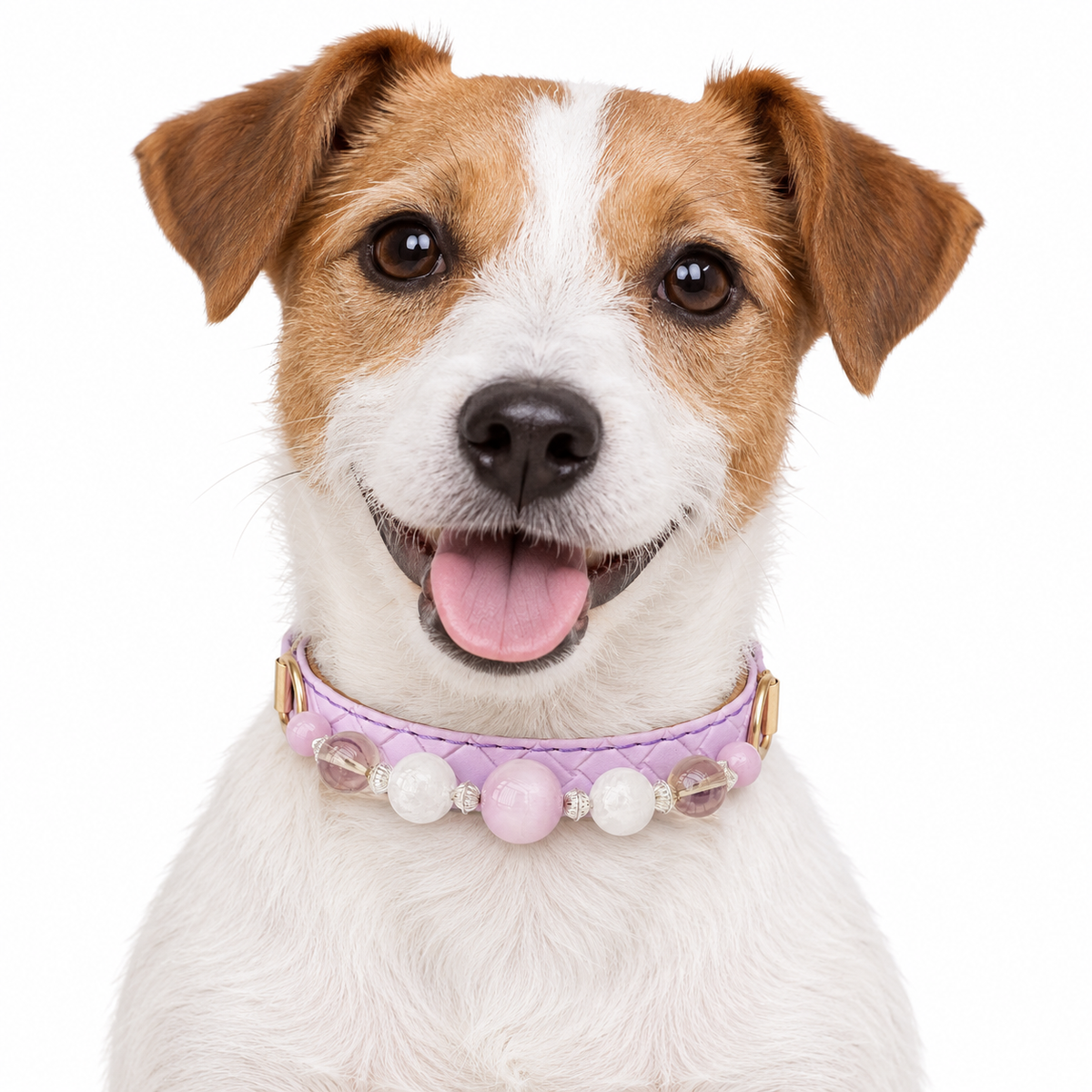 Blush Sunbeam Beaded Pet Collar - AI pet wearing styling illustration
