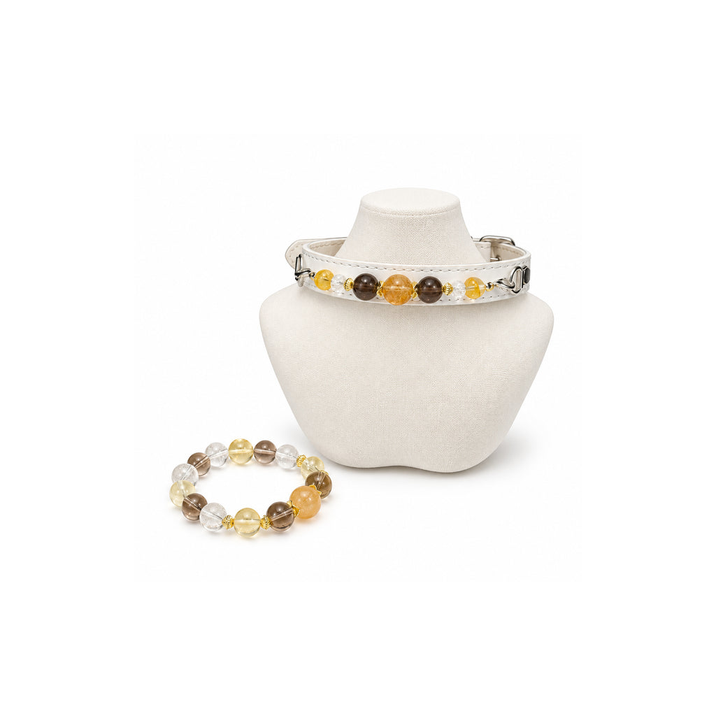 Champagne Dusk Human & Pet Match — coordinating bracelet and pet collar, sold separately