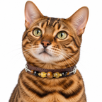 Chestnut Tiger Eye Pet Collar - AI pet wearing styling illustration
