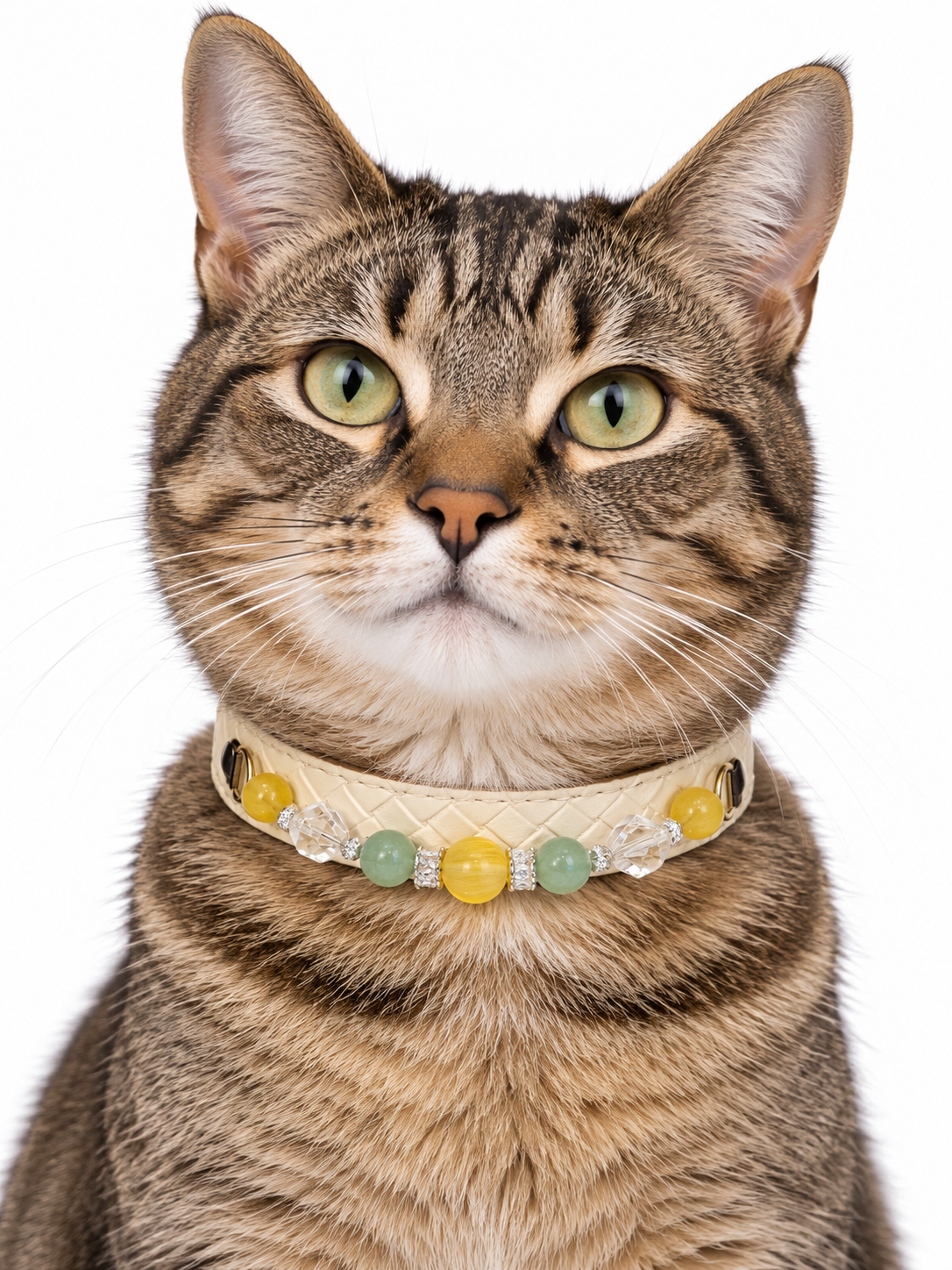 Citrus Meadow Human & Pet Match — pet wearing the pet collar, AI styling illustration