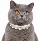 Cloud Clarity Human & Pet Match — cat wearing the pet collar, AI styling illustration