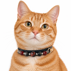 Crimson Midnight Beaded Pet Collar - AI pet wearing styling illustration