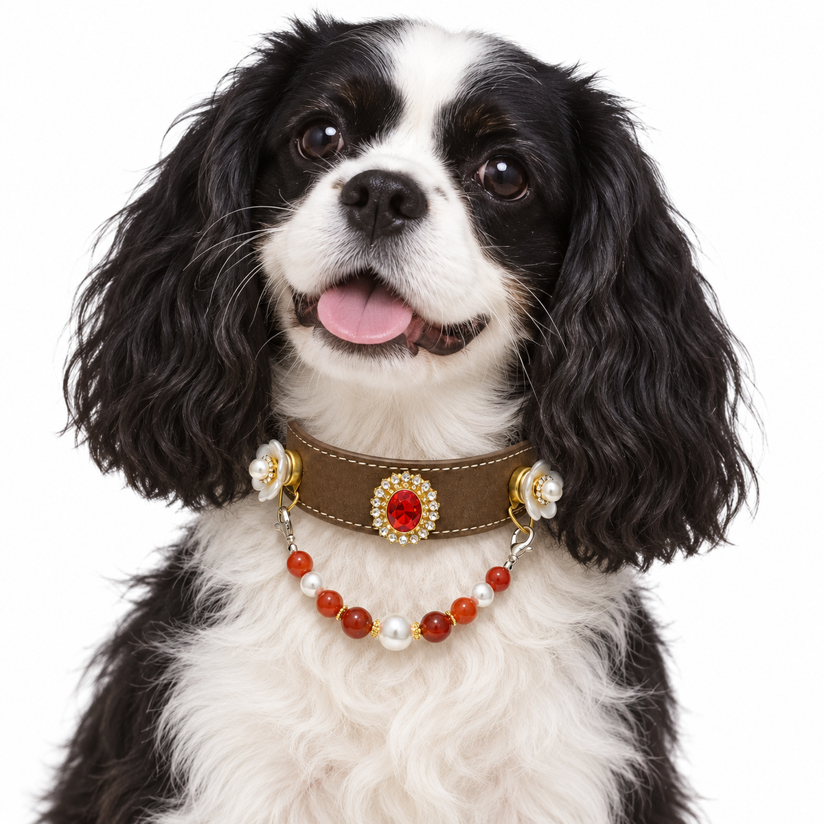Crimson Pearl Human & Pet Match — black-and-white spaniel wearing the pet collar, AI styling illustration