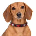 Crimson Spark Beaded Pet Collar - AI pet wearing styling illustration