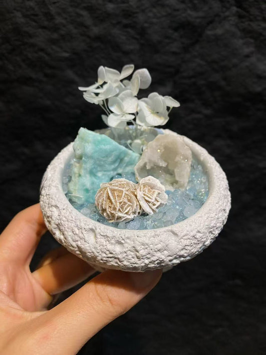 Crystal Plant Special Link