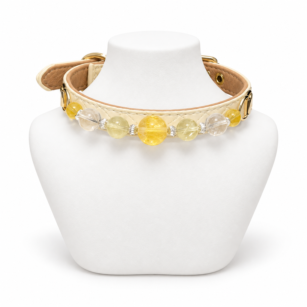 Golden Daylight Human & Pet Match — pet collar