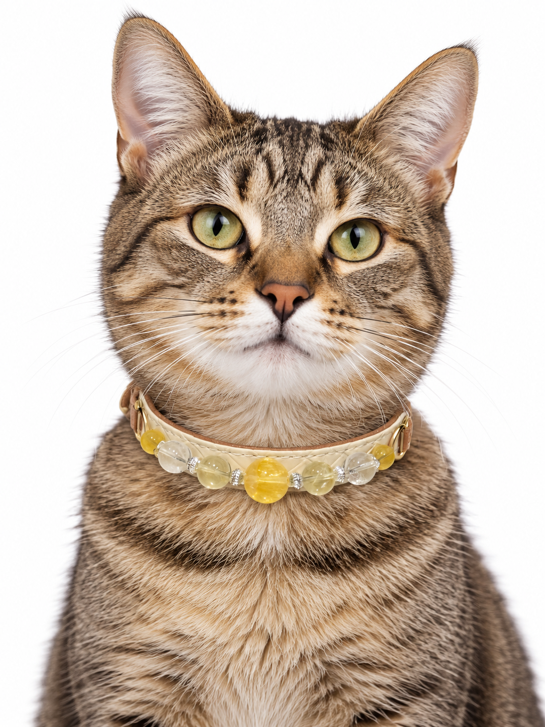 Golden Daylight Human & Pet Match — AI pet wearing styling illustration