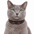 Obsidian Ember Human & Pet Match — AI pet wearing styling illustration