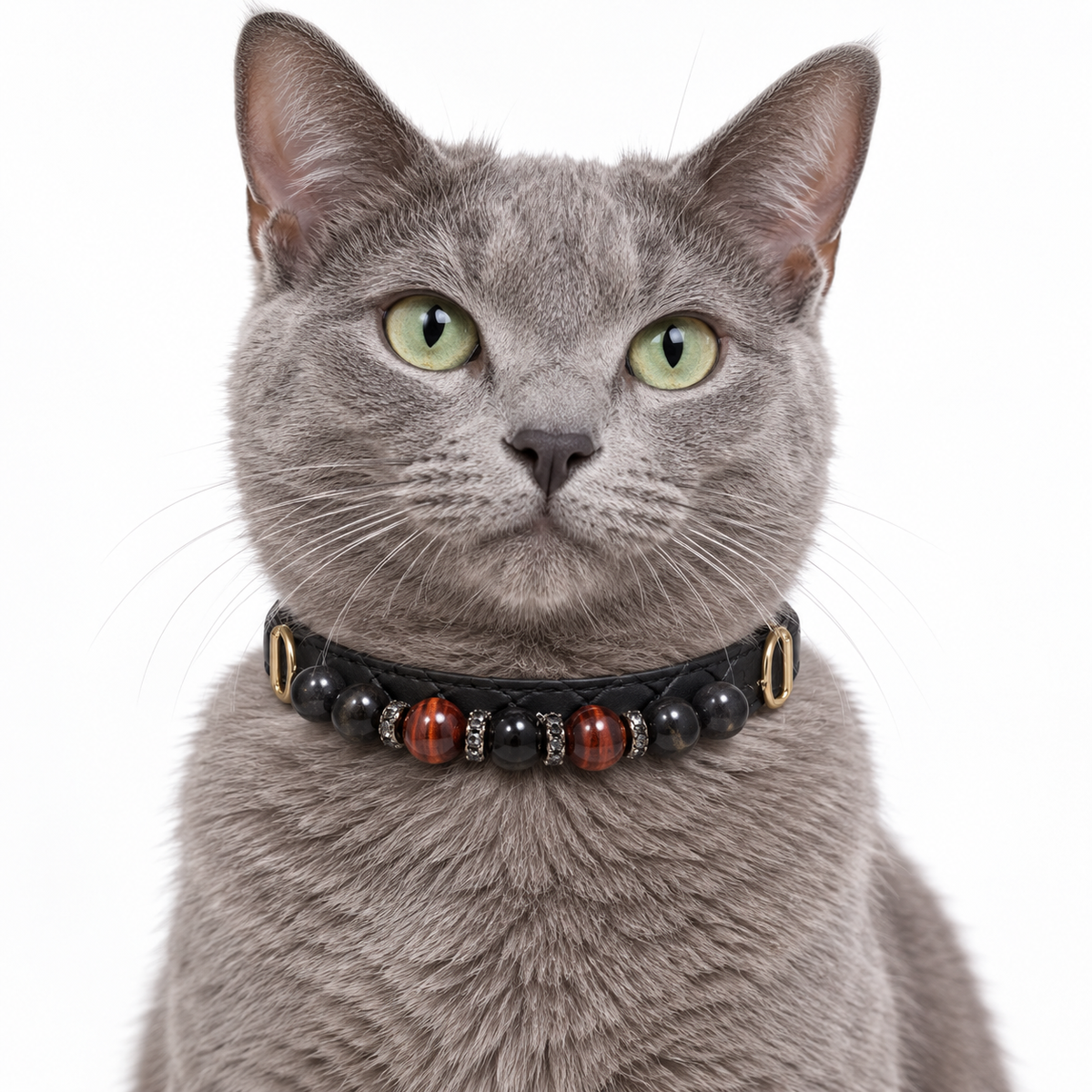 Obsidian Ember Human & Pet Match — AI pet wearing styling illustration
