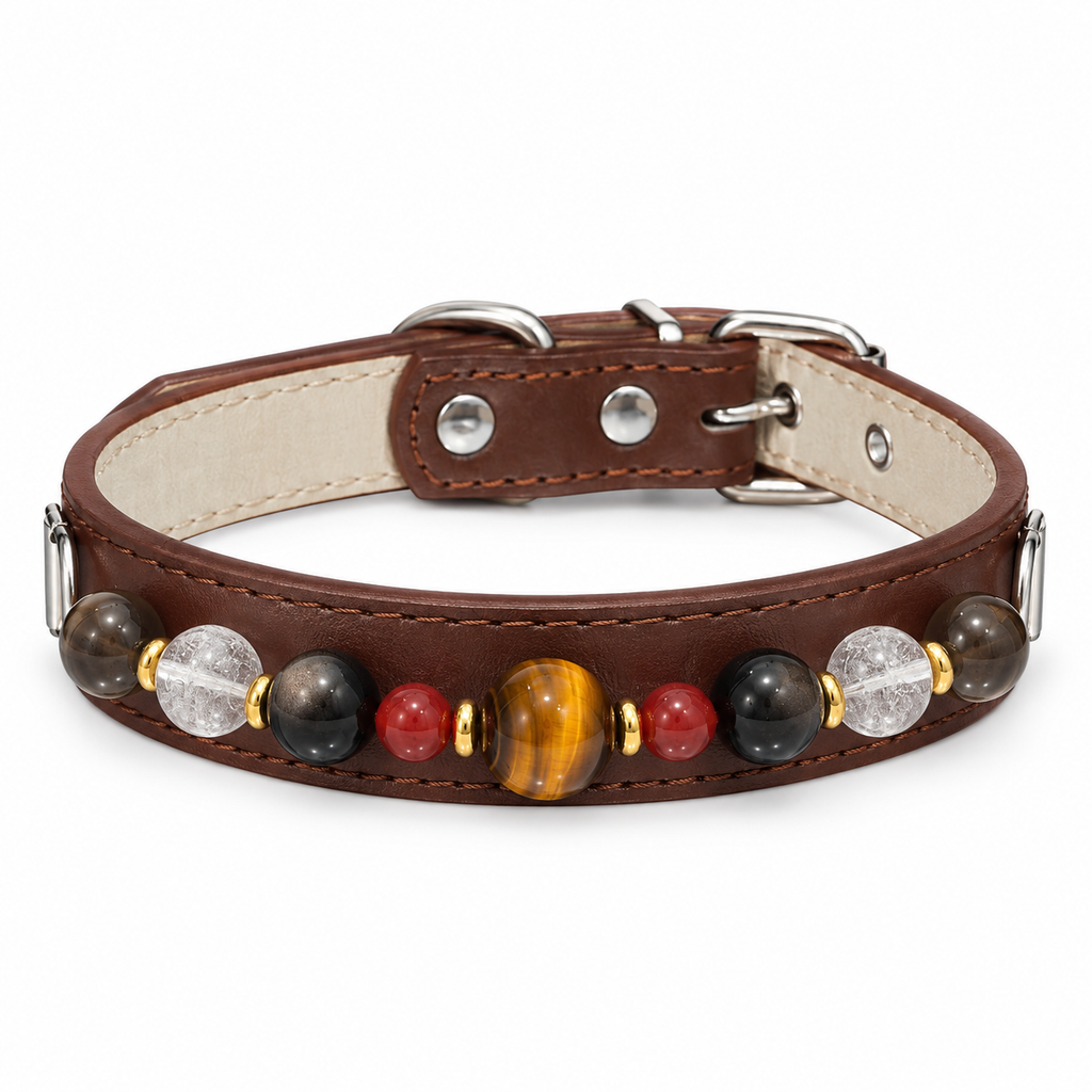 Earth & Ember Human & Pet Match — pet collar