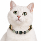 Forest Dusk Arc Beaded Pet Collar - AI pet wearing styling illustration
