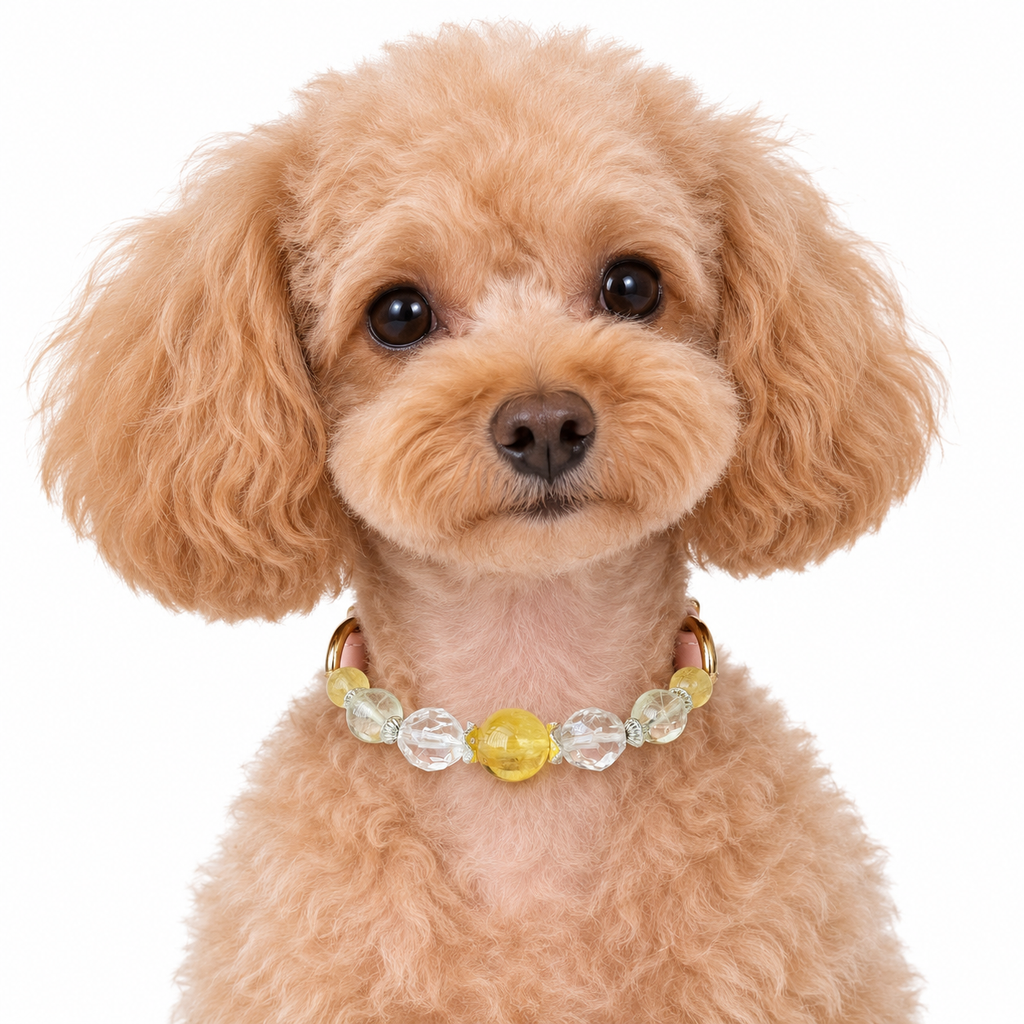 Golden Arc Beaded Pet Collar - AI pet wearing styling illustration