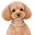Golden Arc Beaded Pet Collar - AI pet wearing styling illustration