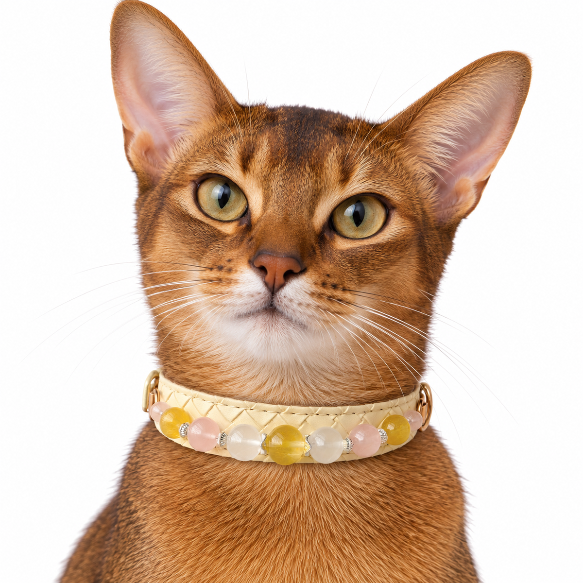 Golden Blush Beaded Pet Collar - AI pet wearing styling illustration
