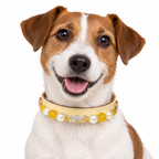 Golden Bow Beaded Pet Collar — AI pet wearing illustration; refer to size guide