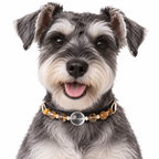 Golden Clarity Beaded Pet Collar - AI pet wearing styling illustration