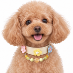 Golden Garden Blossom Beaded Pet Collar - AI pet wearing styling illustration