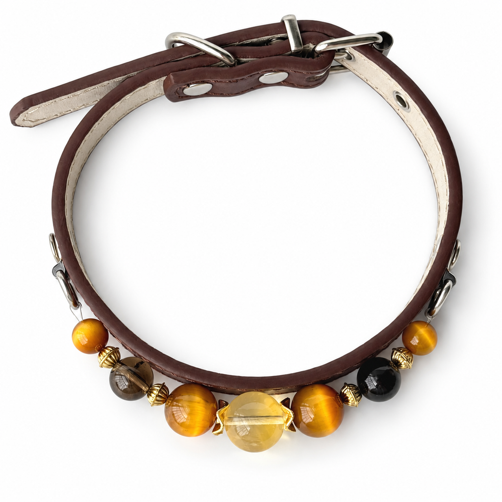 Golden Halo Beaded Pet Collar - overhead view