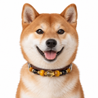 Golden Halo Beaded Pet Collar - AI pet wearing styling illustration