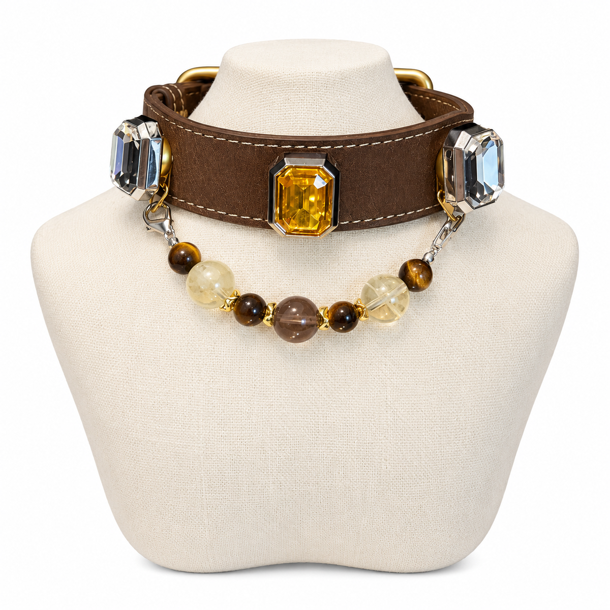 Golden Mocha Human & Pet Match — pet collar