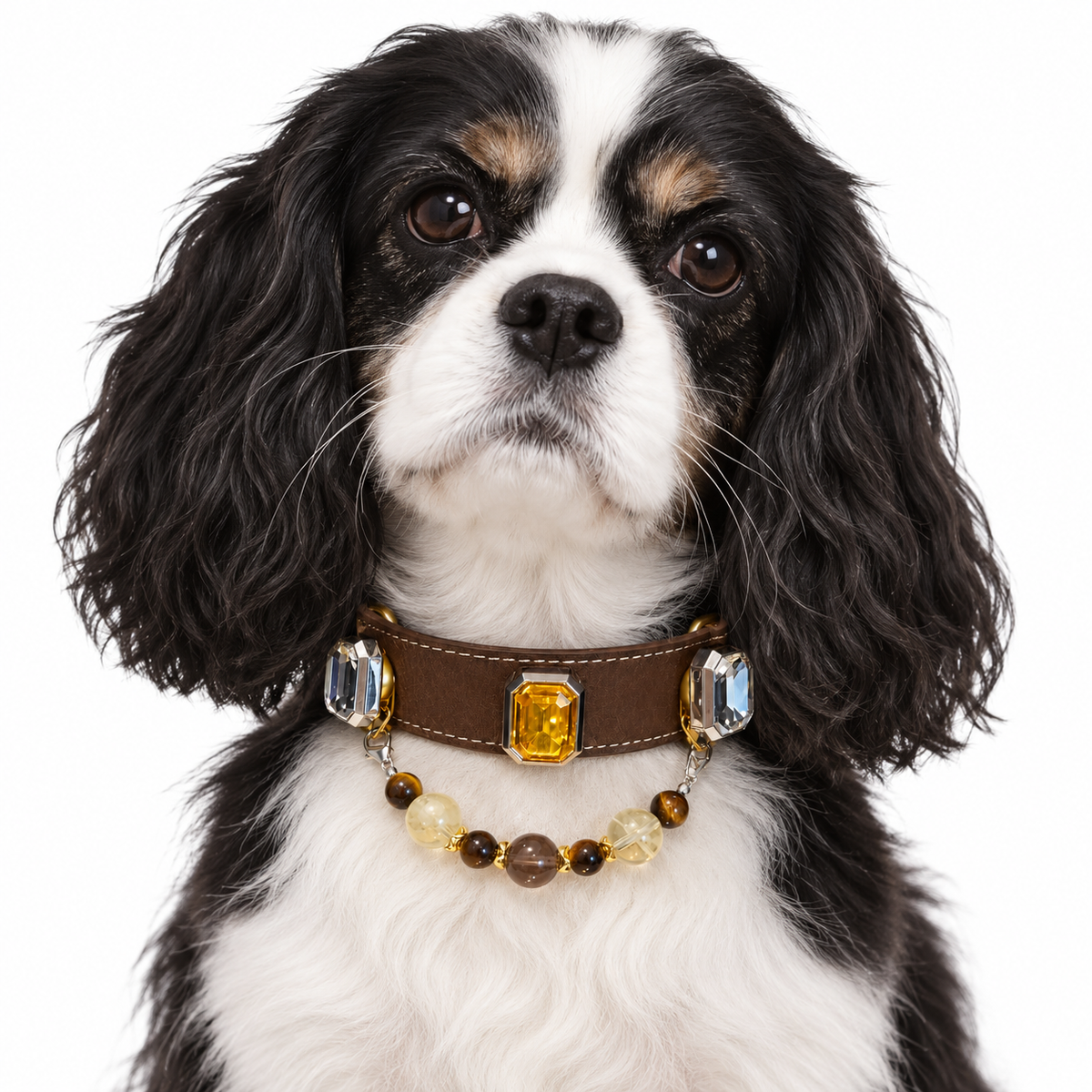Golden Mocha Human & Pet Match — black-and-white spaniel wearing the pet collar, AI styling illustration