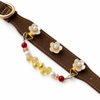 Golden Raindrop Pearl Beaded Pet Collar - flat lay view