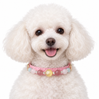 Golden Rose Beaded Pet Collar - AI pet wearing styling illustration