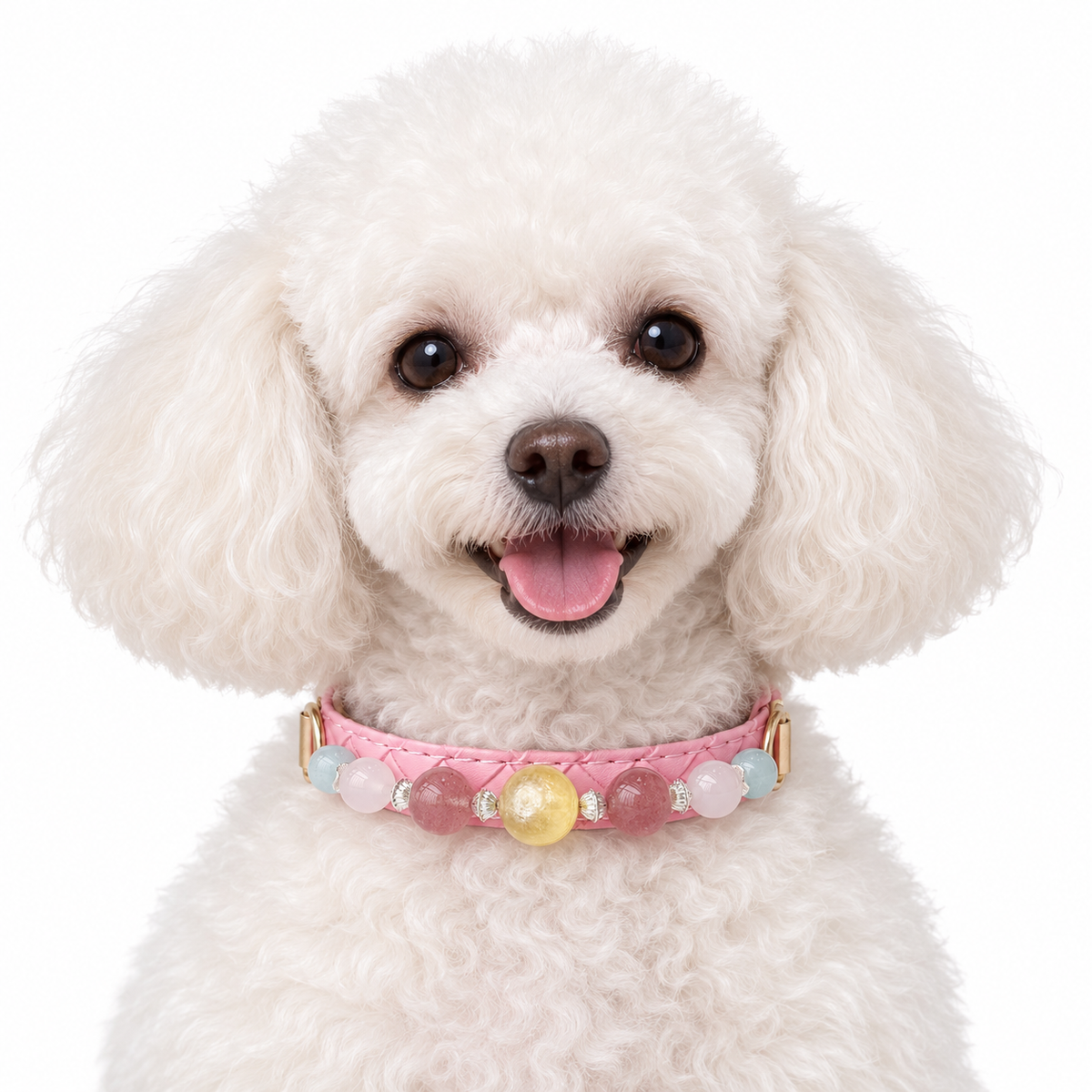 Golden Rose Beaded Pet Collar - AI pet wearing styling illustration