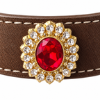 Golden Scarlet Crest Beaded Pet Collar - central decorative accent detail