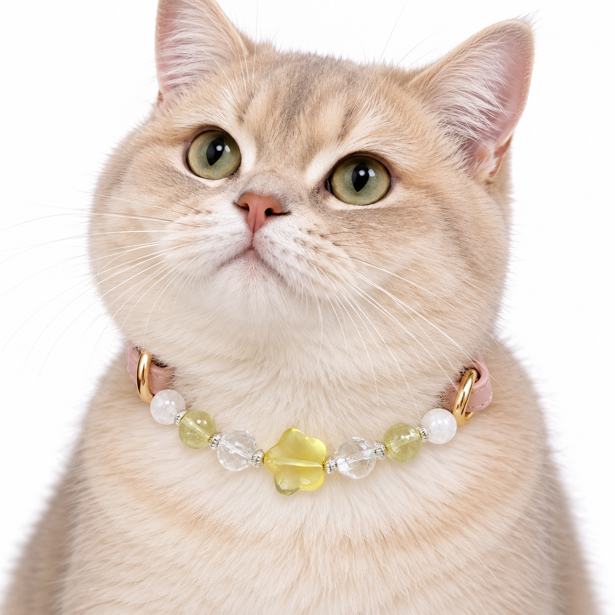 Golden Star Beaded Pet Collar - AI pet wearing styling illustration
