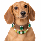 Green Pearl Facet Beaded Pet Collar - AI pet wearing styling illustration