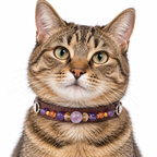 Lavender Amber Beaded Pet Collar - AI pet wearing styling illustration