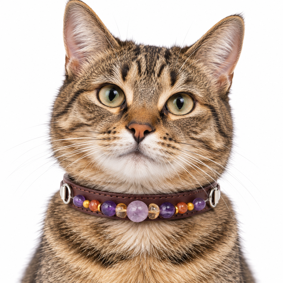 Lavender Amber Beaded Pet Collar - AI pet wearing styling illustration