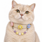 Lavender Lemon Human & Pet Match — cream British shorthair cat wearing the pet collar, AI styling illustration
